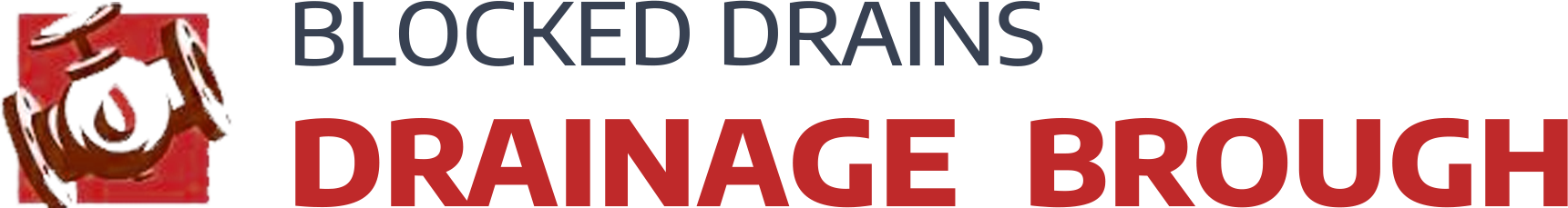 website logo